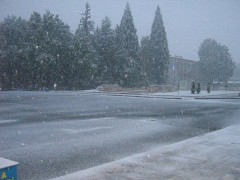 И В БЕРКОВИЦА ЗАВАЛЯ СНЯГ, ЗАПОЧВАТ ПРОБЛЕМИТЕ...