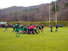 "КОТКИТЕ" ЗАГУБИХА ДНЕС