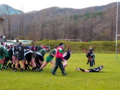 "КОТКИТЕ" ЗАГУБИХА ДНЕС