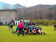 "КОТКИТЕ" ЗАГУБИХА ДНЕС