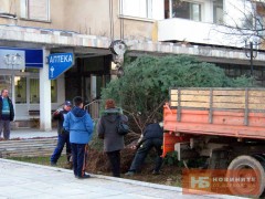 КМЕТСТВОТО ПОСАДИ ЕЛХА ПРЕД ДИМИТЪР ФИЛИПОВ